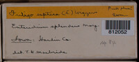 Image Associated With the Occurence
